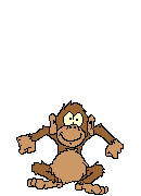 a smiling jumping brown monkey